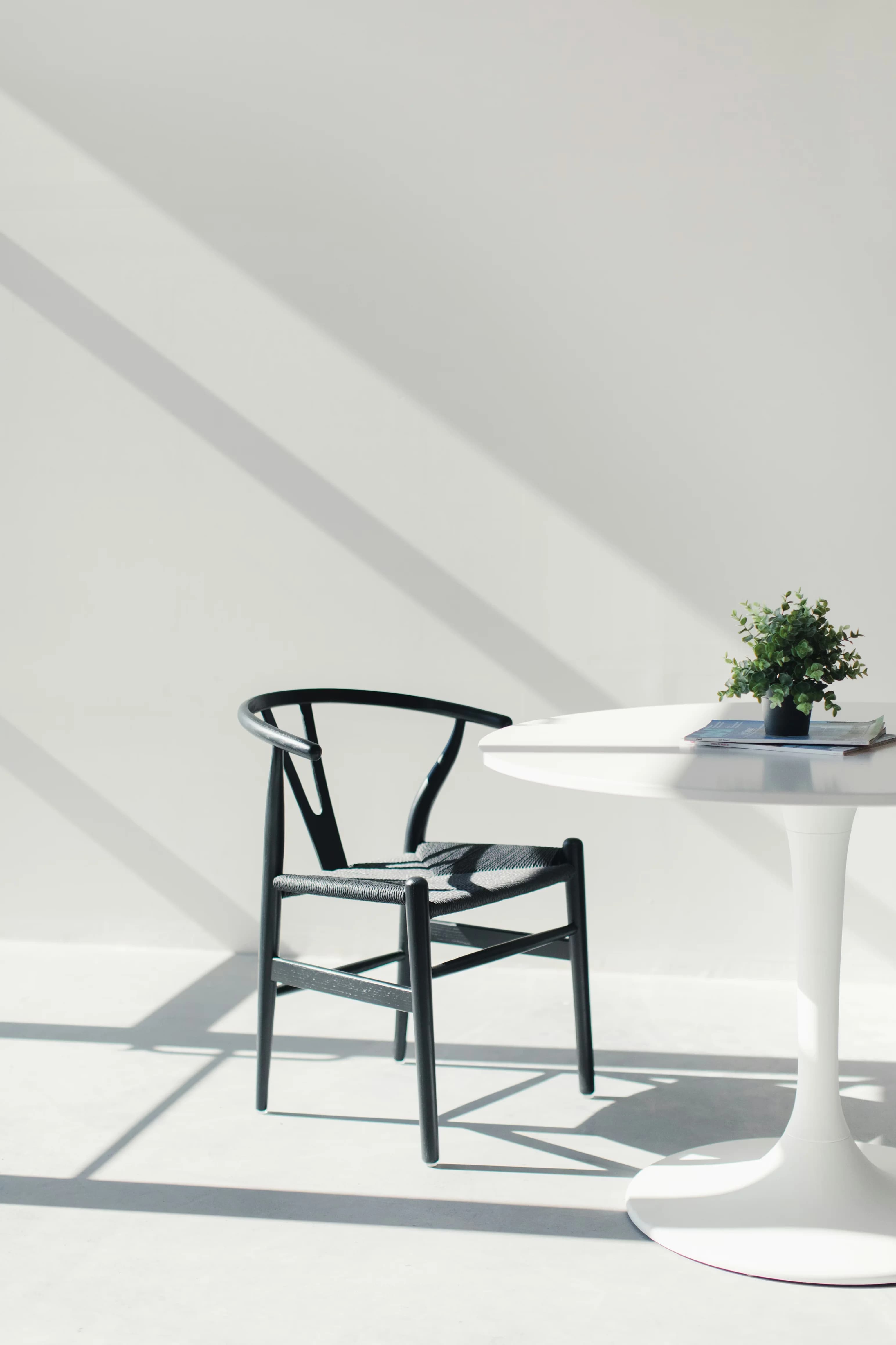 Carl Hansen & Søn Wishbone Chair